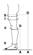 1A212_1.jpg